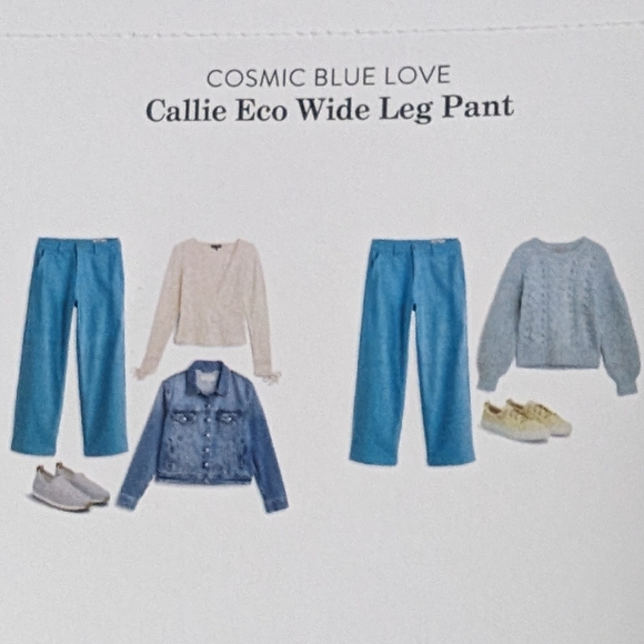 🌸 Cosmic Blue Callie Echo Wide Leg Pant Size 4 NWT STITCH FIX - Picture 6 of 7